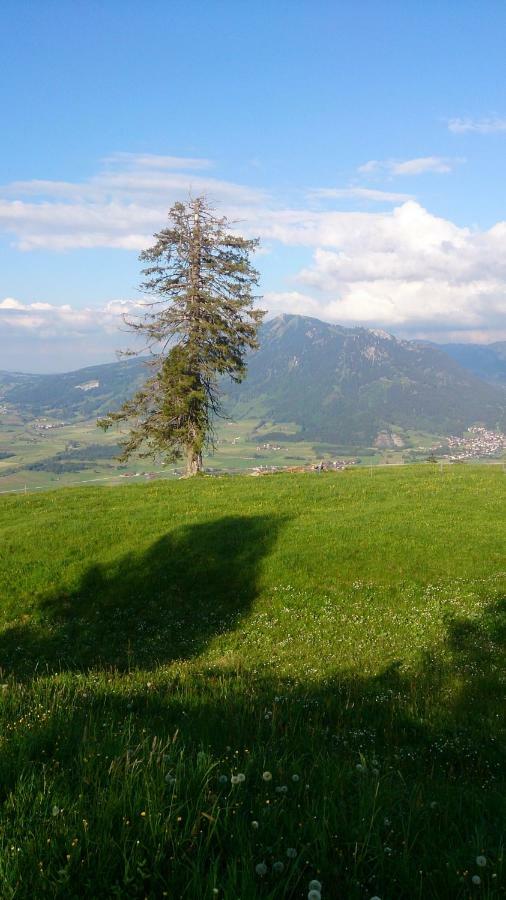 Ferienwohnung Schoenau Immenstadt im Allgäu Dış mekan fotoğraf